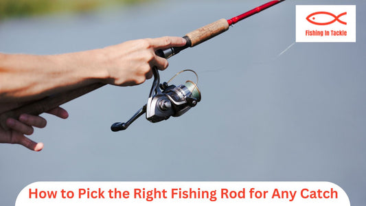 Discover how to pick the right fishing rod for any catch. Learn about rod types, power, action, and tips to match your rod with different fishing styles.