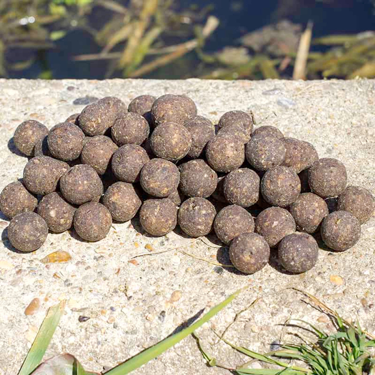 Eclipse Baits LSI Boilies Shelf Life