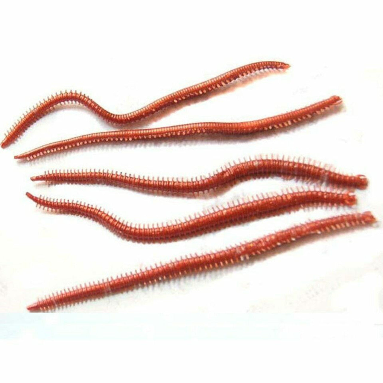10 Ragworm Imitation Lures