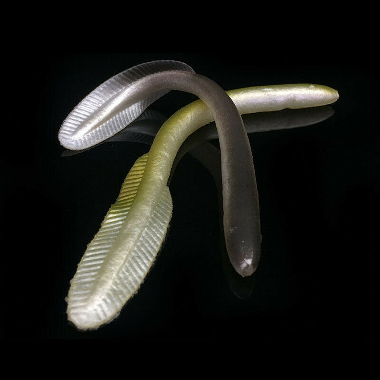 5X 3D Real Eel Curly Tail Lures