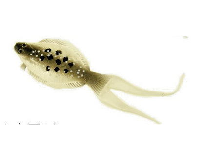 Soft LRF Flatfish Savage Fishing Lure