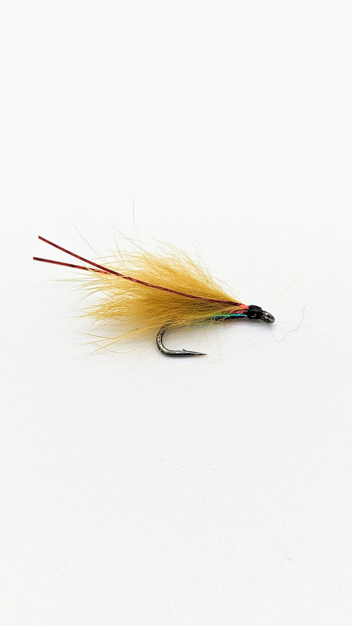 Dragon Cormorant Flies