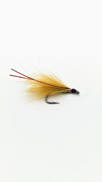 Dragon Cormorant Flies