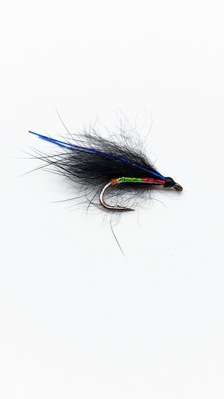 Dragon Cormorant Flies