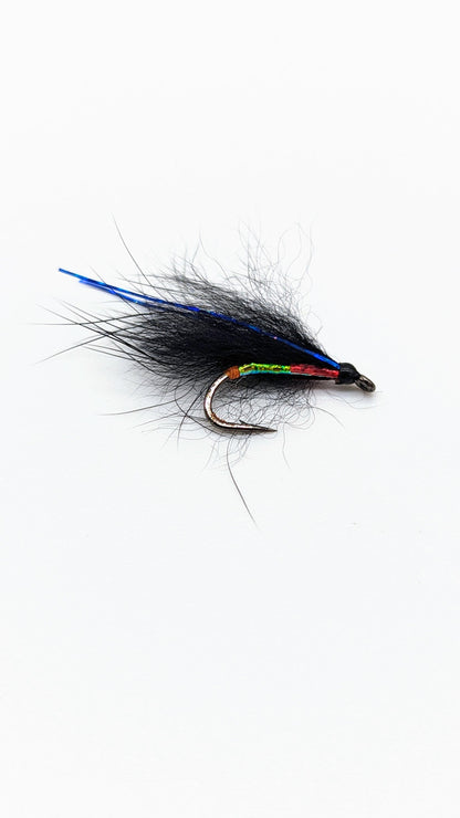 Dragon Cormorant Flies