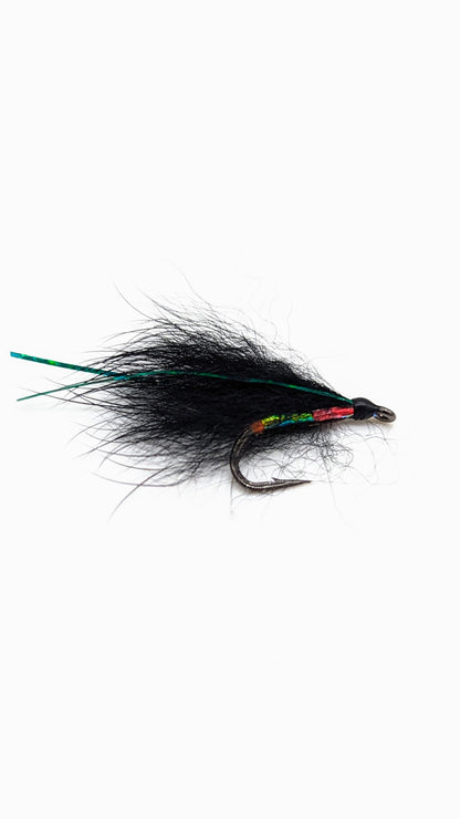 Dragon Cormorant Flies