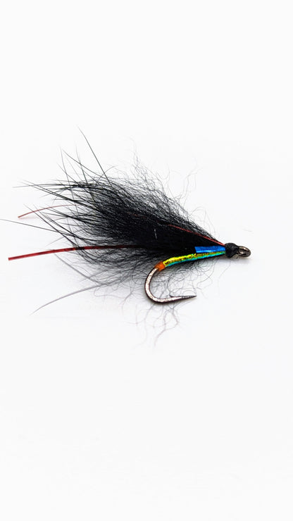 Dragon Cormorant Flies